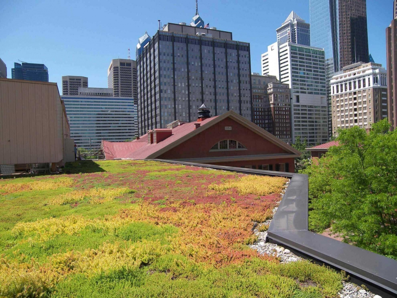 paysagiste-DRAP-min_green-roof-portfolio-4